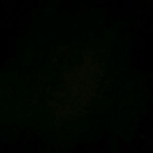 Meet your Posher, Griselda